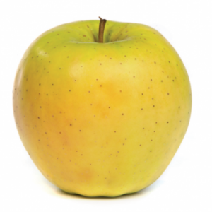 Delisdor ou Goldrush